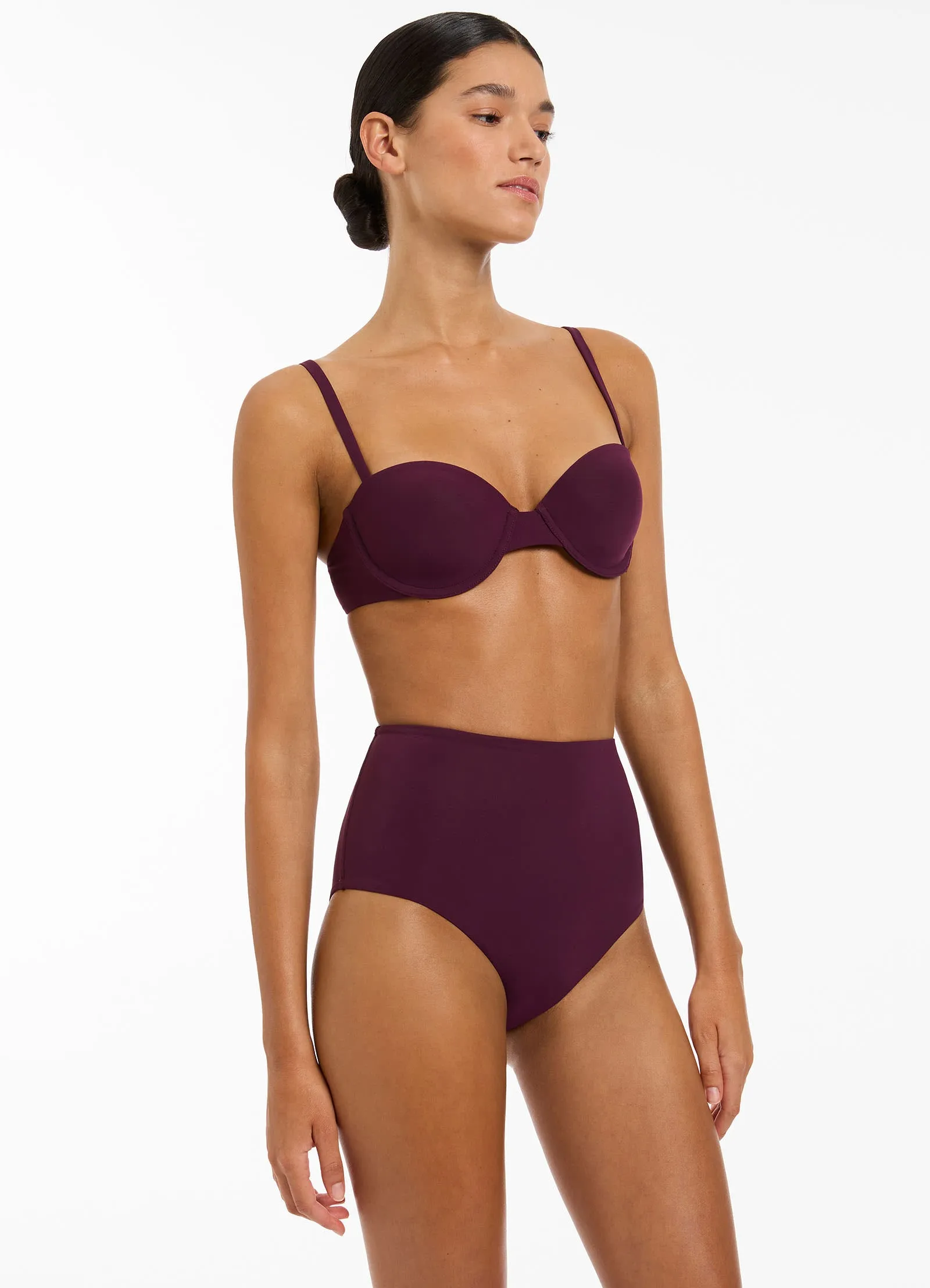 High Waisted Bikini Bottom in Port Color