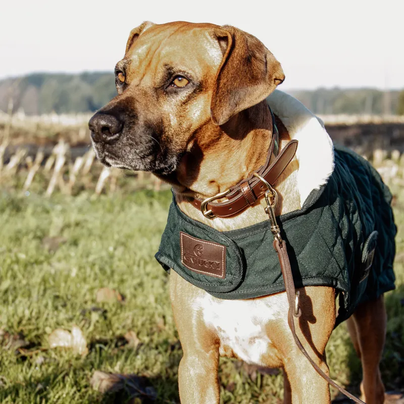 Kentucky Dog Coat - Green