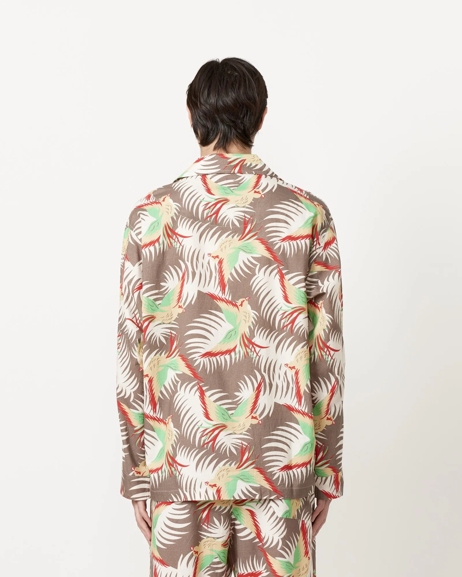 Sun Conure Long Sleeve Shirt - Multi Color